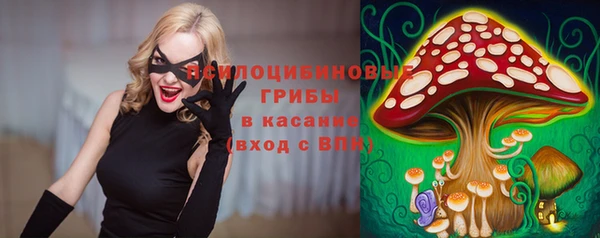 прущие крисы Алексин