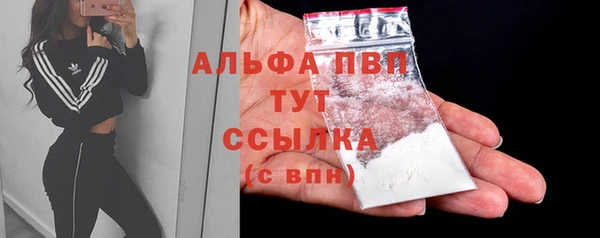 прущие крисы Алексин
