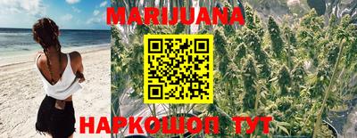 крисы Нягань