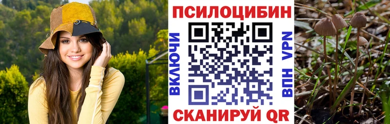 Галлюциногенные грибы прущие грибы  цена наркотик  Сунжа 