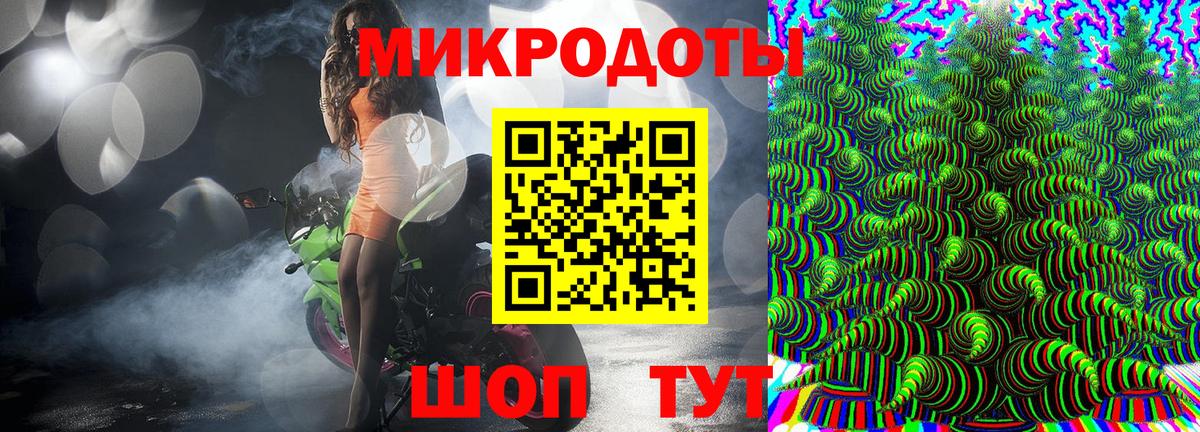 Псилоцибиновые грибы прущие грибы Сунжа