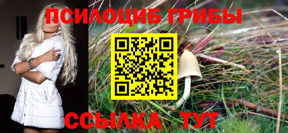 Сунжа  закладки  Псилоцибиновые грибы ЛСД  Вход с VPN  Галлюциногенные грибы Psilocybe 