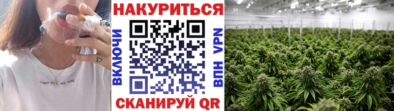 как найти закладки  Сунжа  Бошки Шишки Ganja 